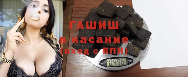 стаф Алексин