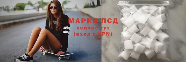 стаф Алексин