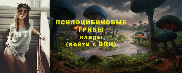 ALPHA-PVP Алексеевка