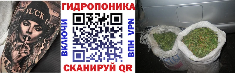 Бошки Шишки индика  Заводоуковск 